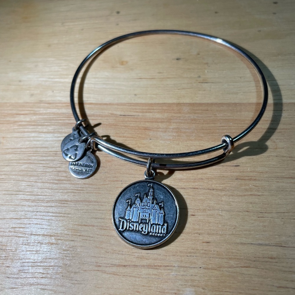 Alex and Ani Disneyland Resort Castle silver Tone Charm Bracelet